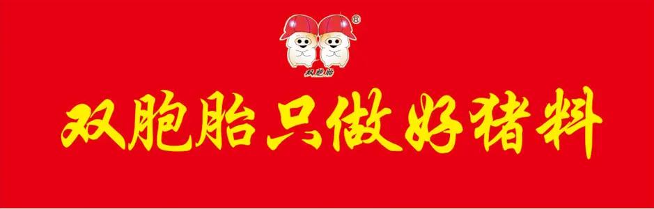 2022品牌价值排行榜区域品牌,2022十大家具品牌