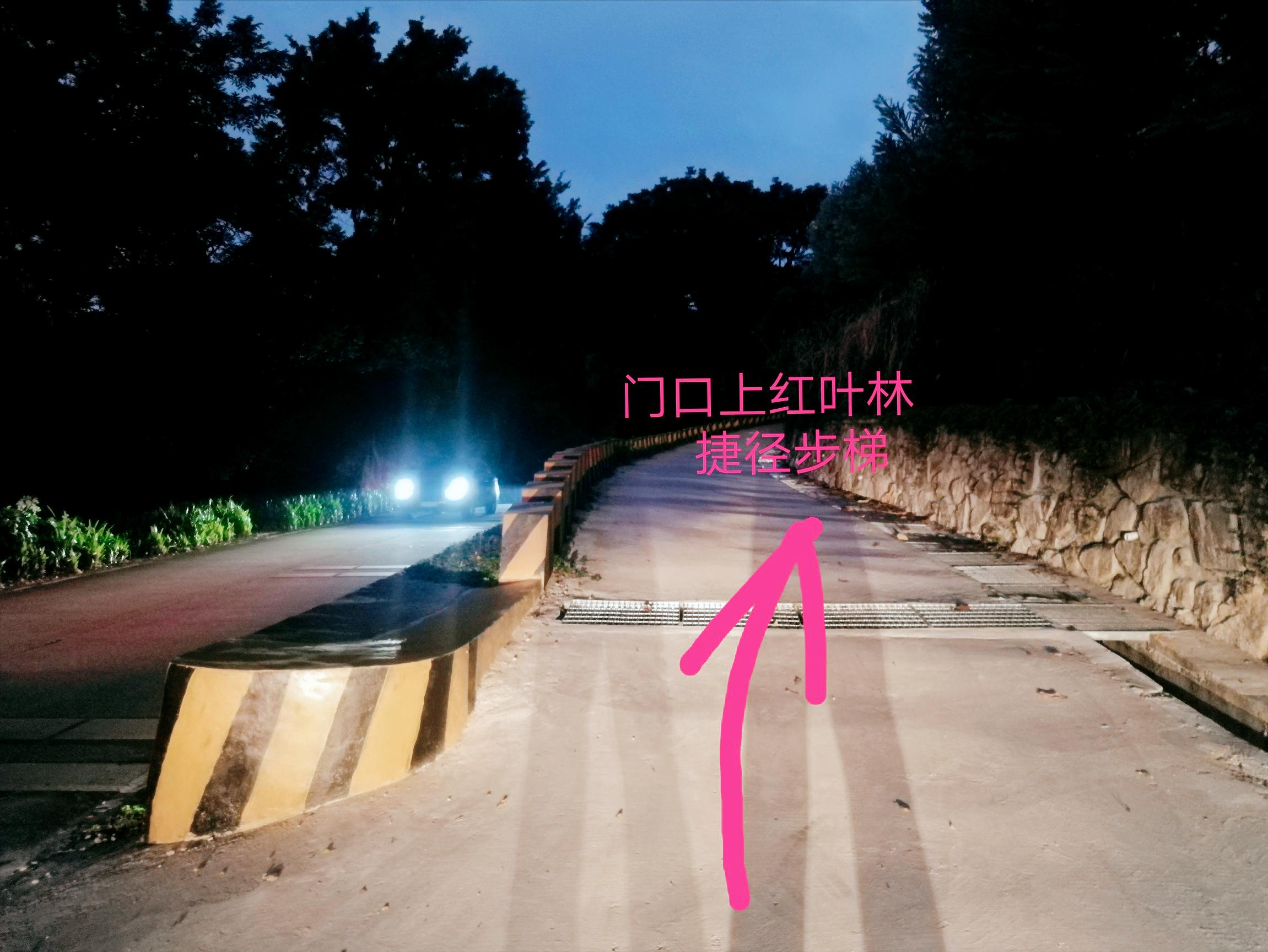 石门森林公园樱花谷交通线路,从化石门公园枫叶