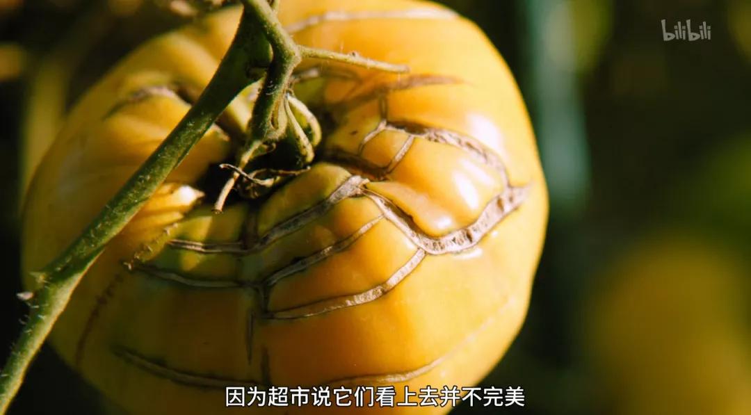 最后一部良心之作,一部真正良心之作全程毫无尿点