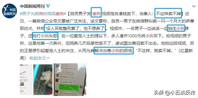 爱狗人士诈捐被揭穿,爱狗人士诈捐事件视频