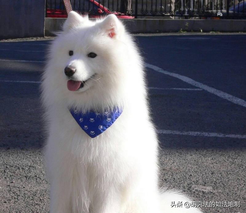 男房东偷进女租客房间新闻,男房东随意进租客卧室可以报警吗