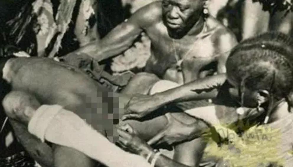 读华莉丝的《沙漠之花》：惨绝人寰的女性割礼