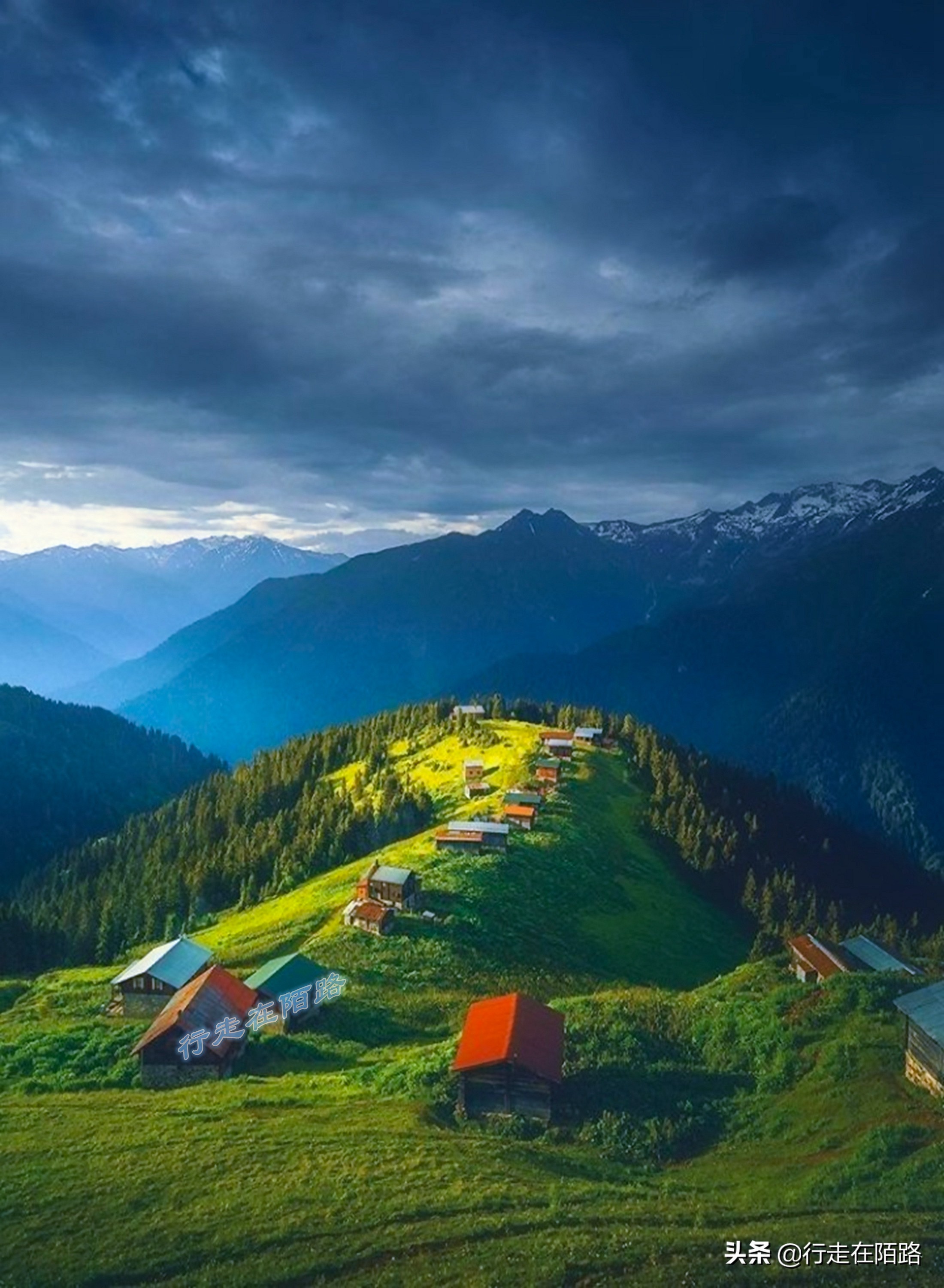 土耳其人茶文化,土耳其中文向导