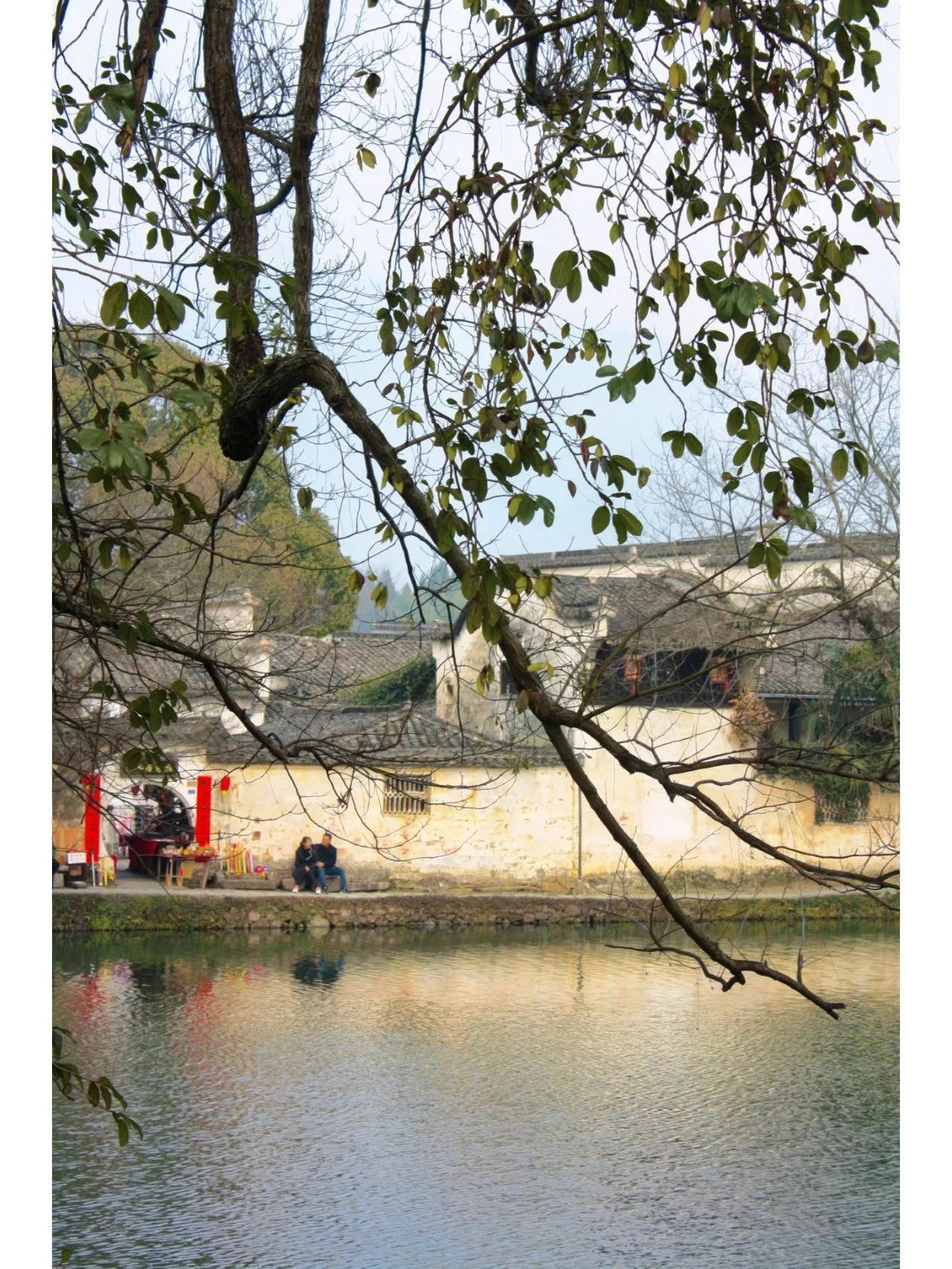 黄山宏村研学二日游,宏村黄山两日游旅游团