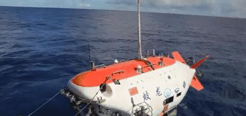 蛟龙的蛟是真的存在的吗,蛟龙发现什么生物