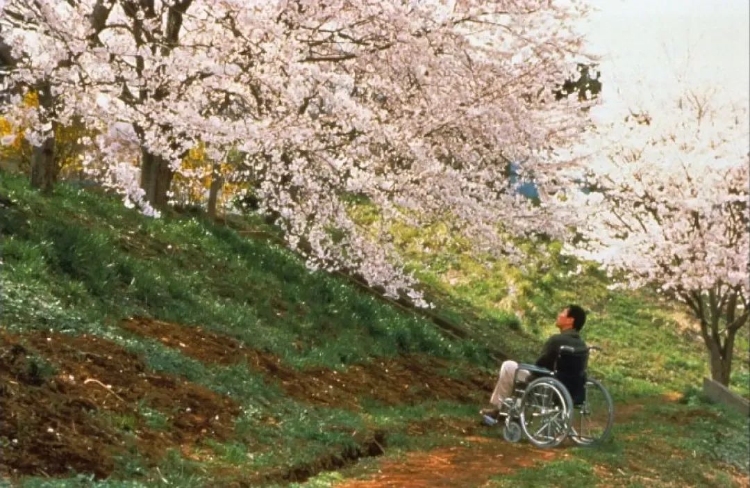 封神第一部有几部纪录片,封神的十部电影