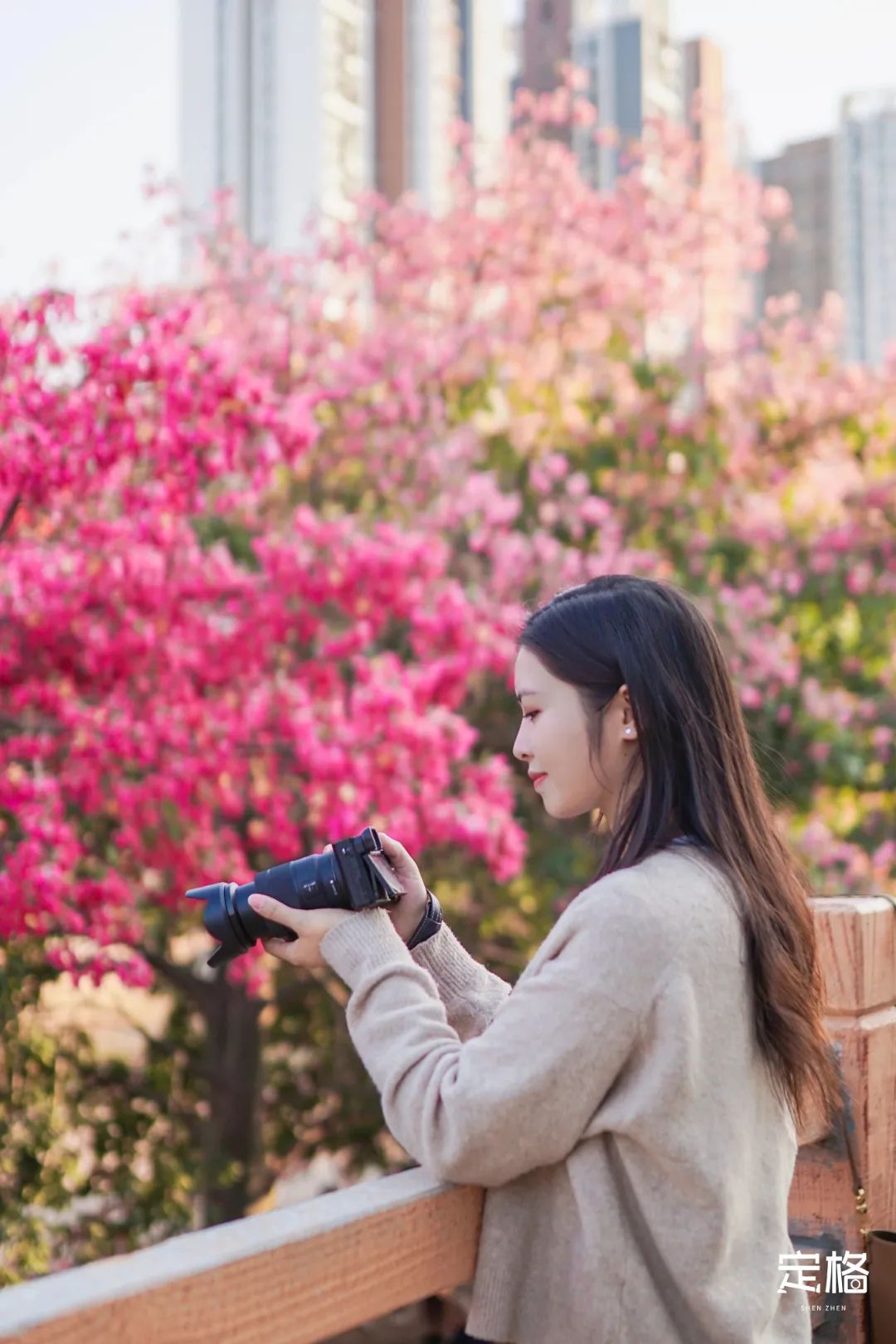 深圳3月14个赏花胜地全部免费,深圳清明节踏青赏花好去处
