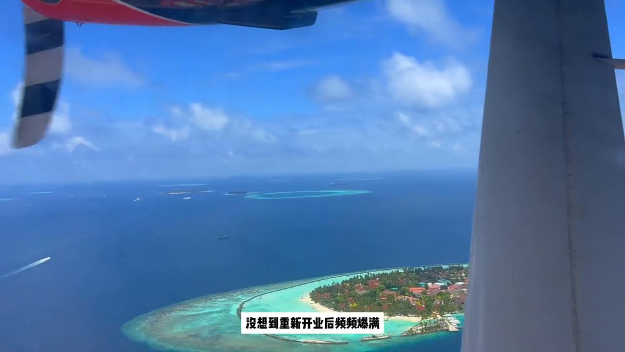 一分钟带你了解马的进化,一分钟带你了解阿特兹