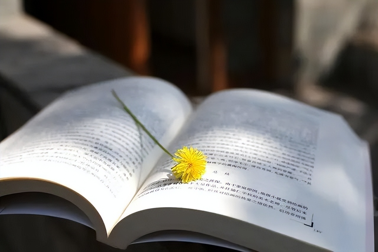 书香润泽人生路，没有岁月可回头01