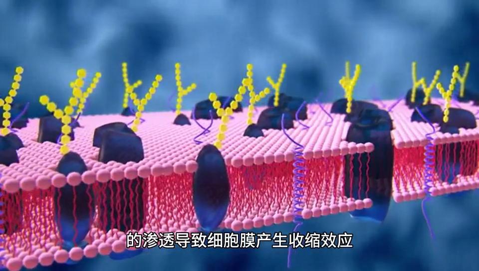 洗澡手起皱纹是怎么回事,洗澡时手指起皱纹怎么办