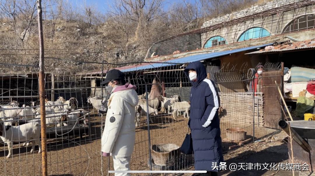 打造农特产品线上销售平台,蓟州农产品销售平台