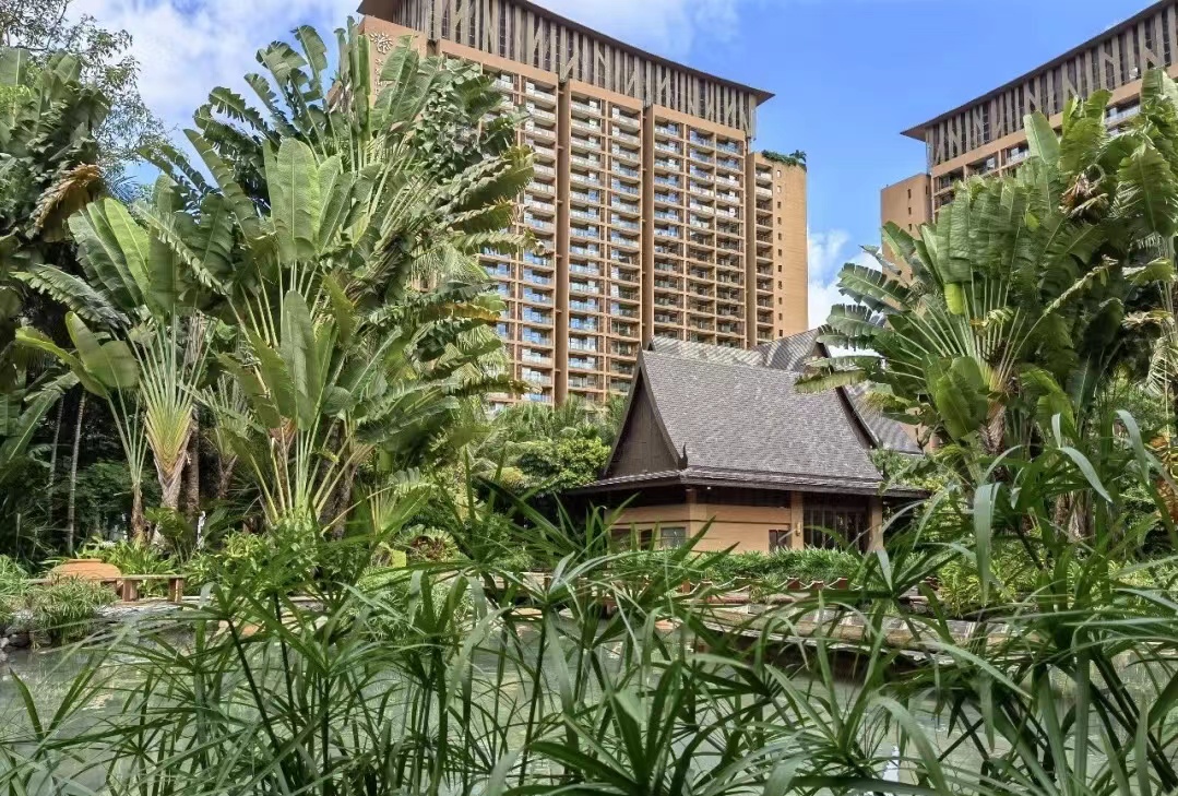 海南三亚湾红树林,三亚湾哪个红树林最好