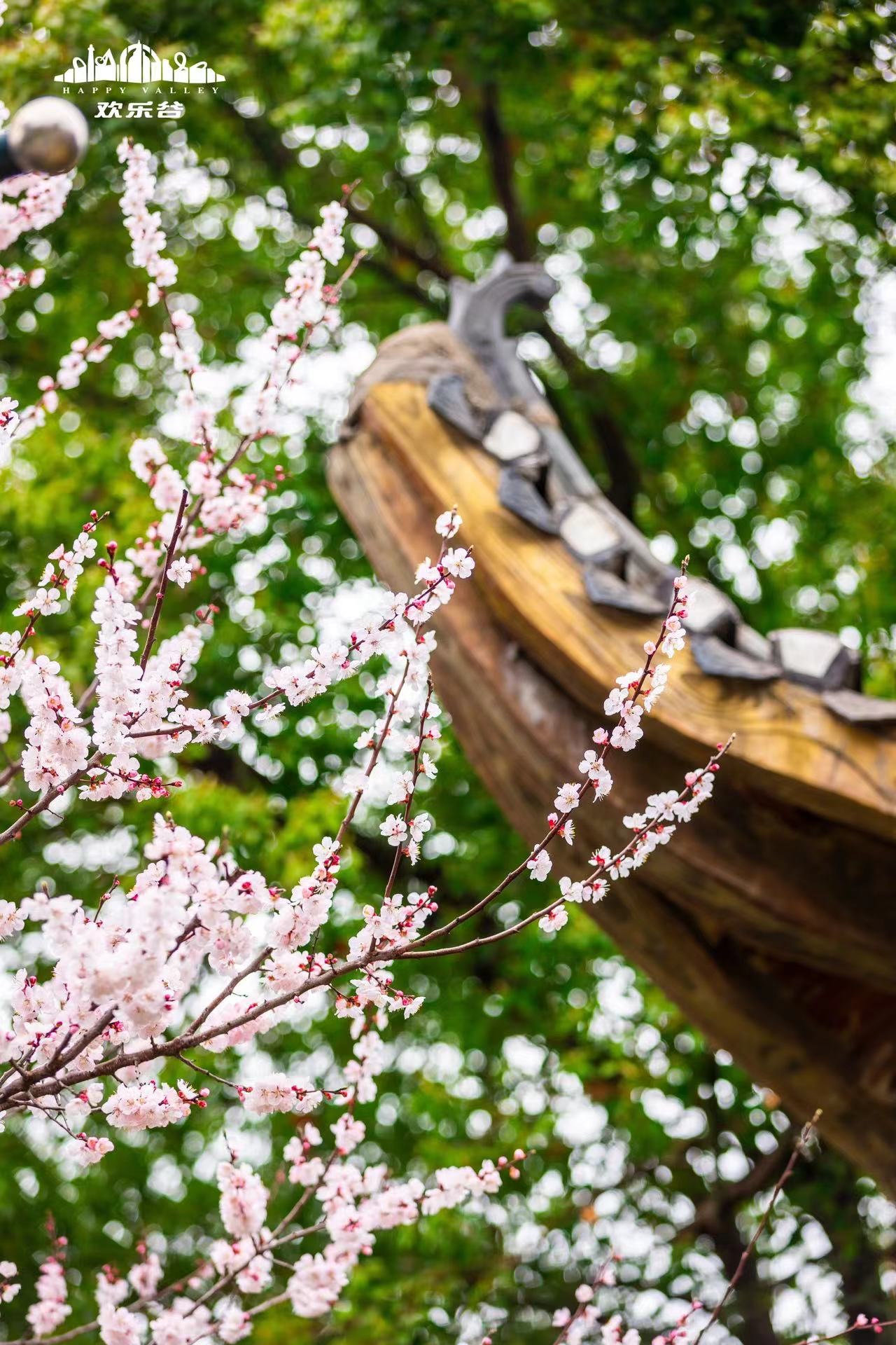 欢乐谷踏青赏春单人全日票,上海欢乐谷踏青活动