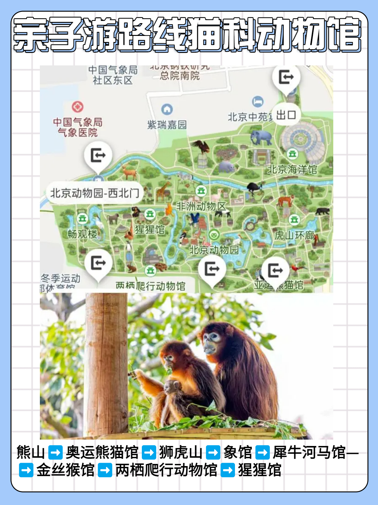 长隆野生动物园行李可以寄存的吗,淹城野生动物园能不能寄存行李