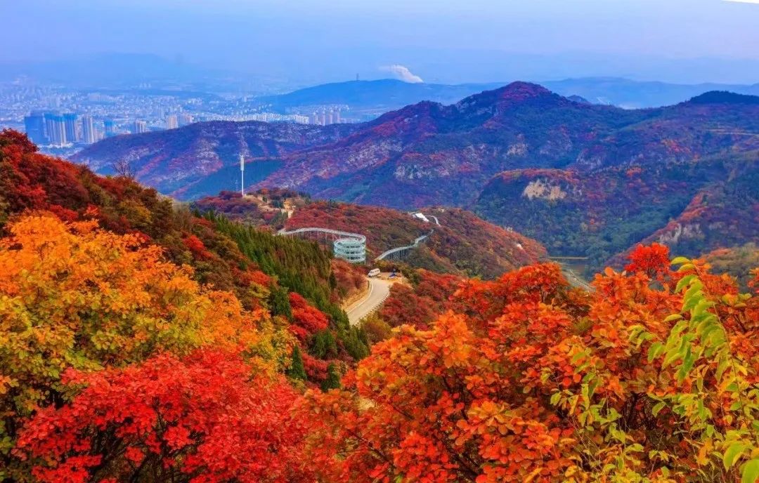 沂蒙乡村振兴学习感悟,乡村振兴看沂蒙专题