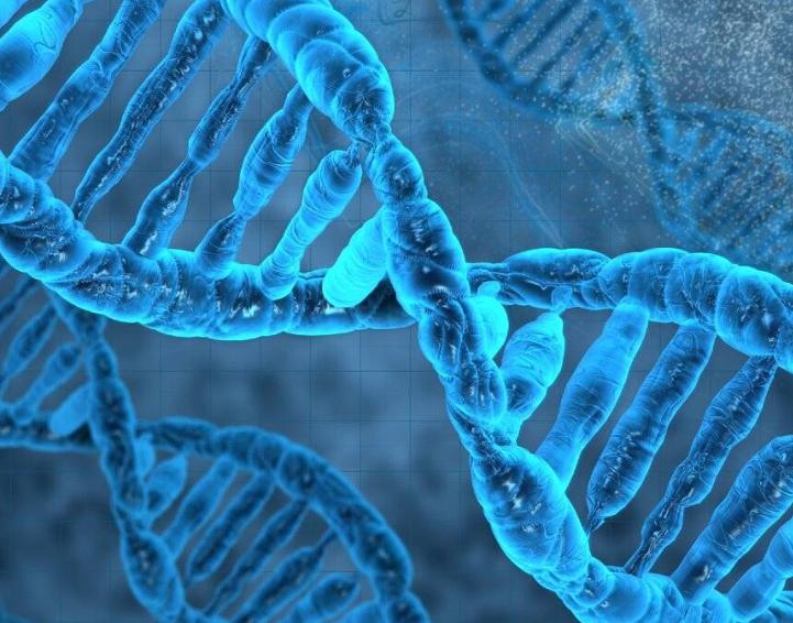 一喝酒就脸红的人能经常微醺吗,一喝酒就脸红的人能锻炼出酒量吗