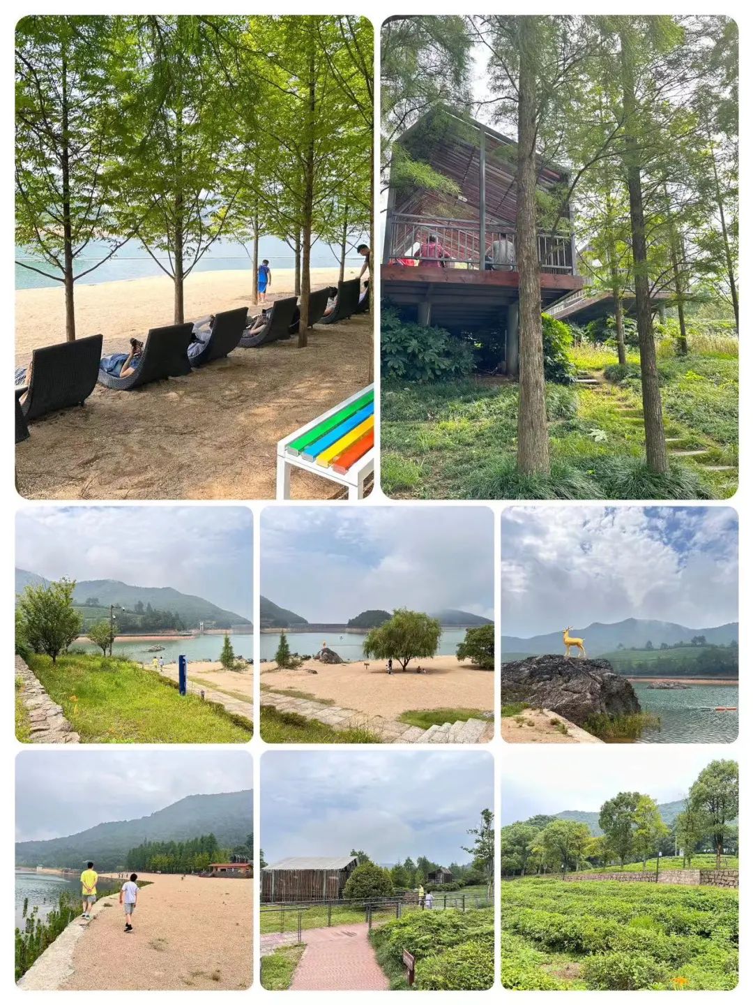 三伏天去苏杭旅游,冬季带小孩杭州攻略经典二日游