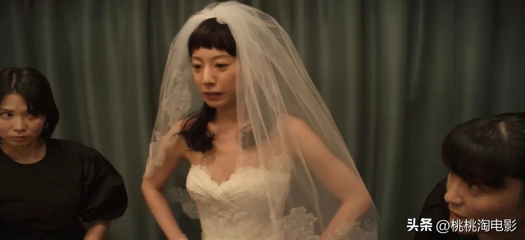 网红剧都有什么,19年的网红剧