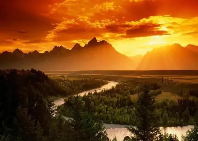 仲夏夜之梦戒指,仲夏夜之梦钻戒