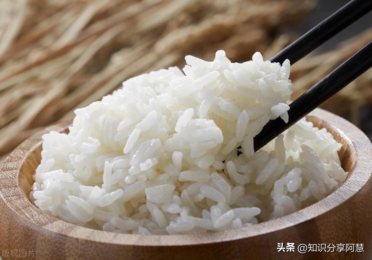 盘点南北方饮食差异的名场面,南北方饮食差异南方细腻北方粗犷