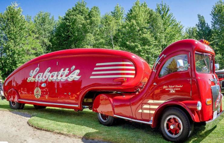 50件来自我们迷人星球的不寻常事物