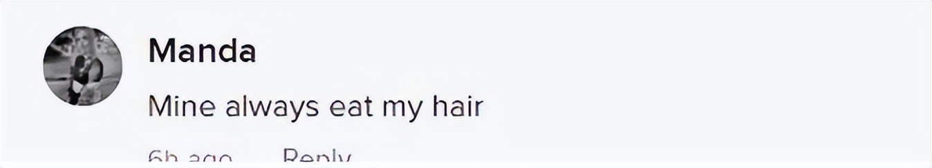 加拿大妈妈发现儿子头发莫名“越留越短”，居然是被家里豚鼠啃得