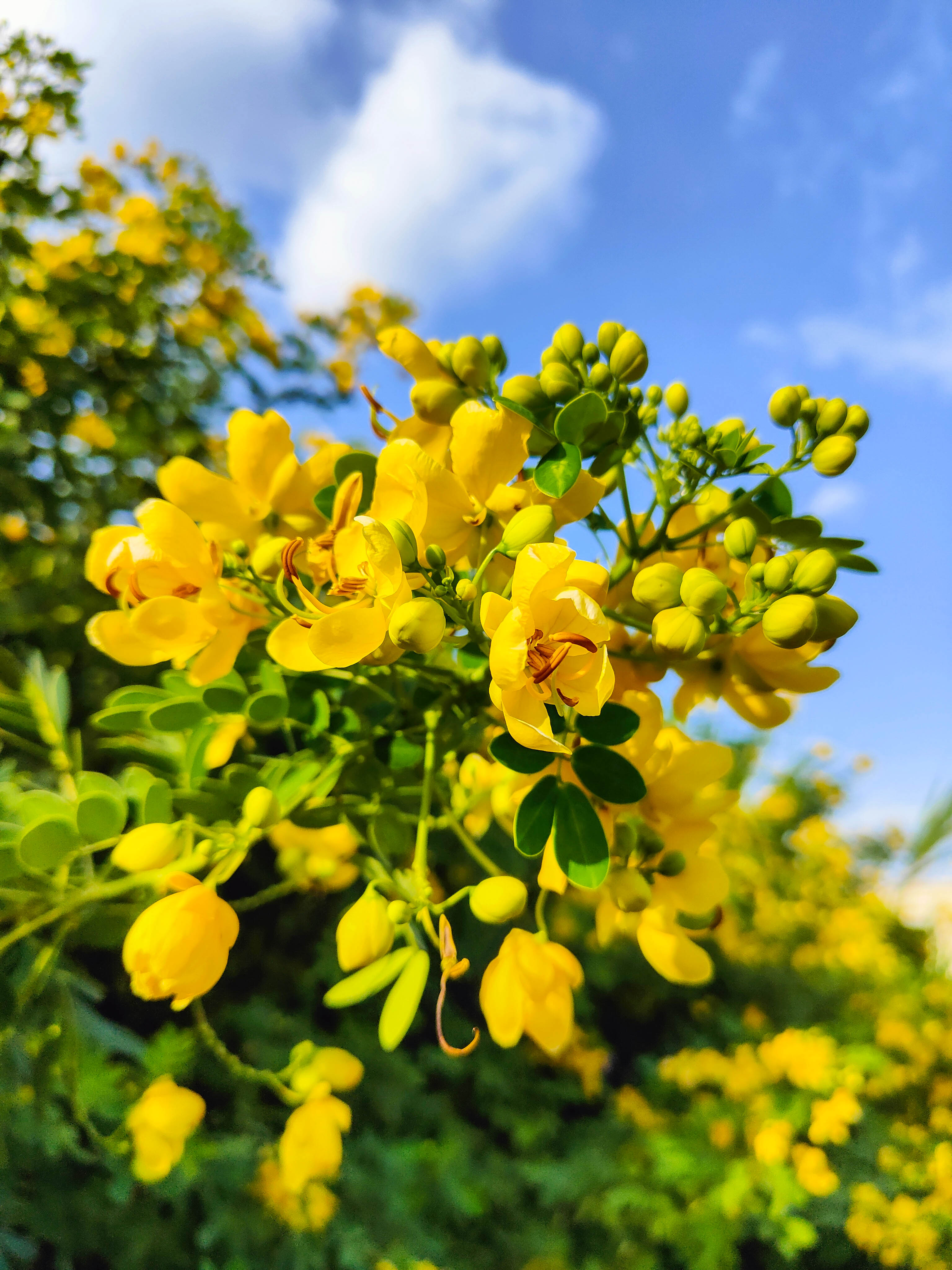 福州三江口网红打卡景点,福州三江口公园游玩攻略