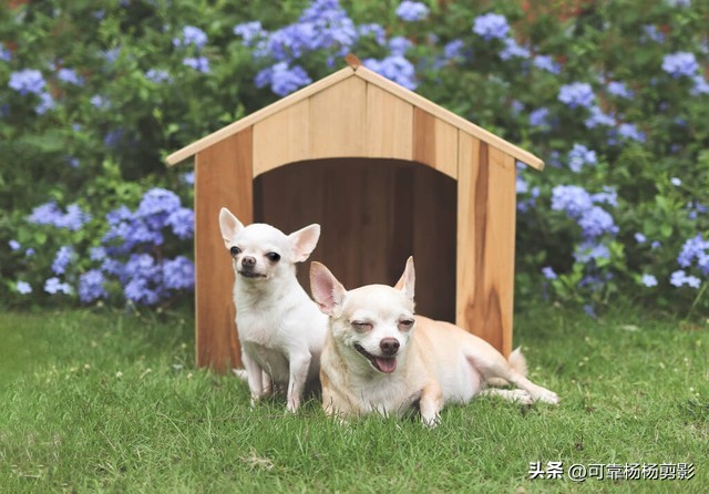 爆笑幽默笑话大全妙趣横生笑翻了,幽默笑话大全笑一笑