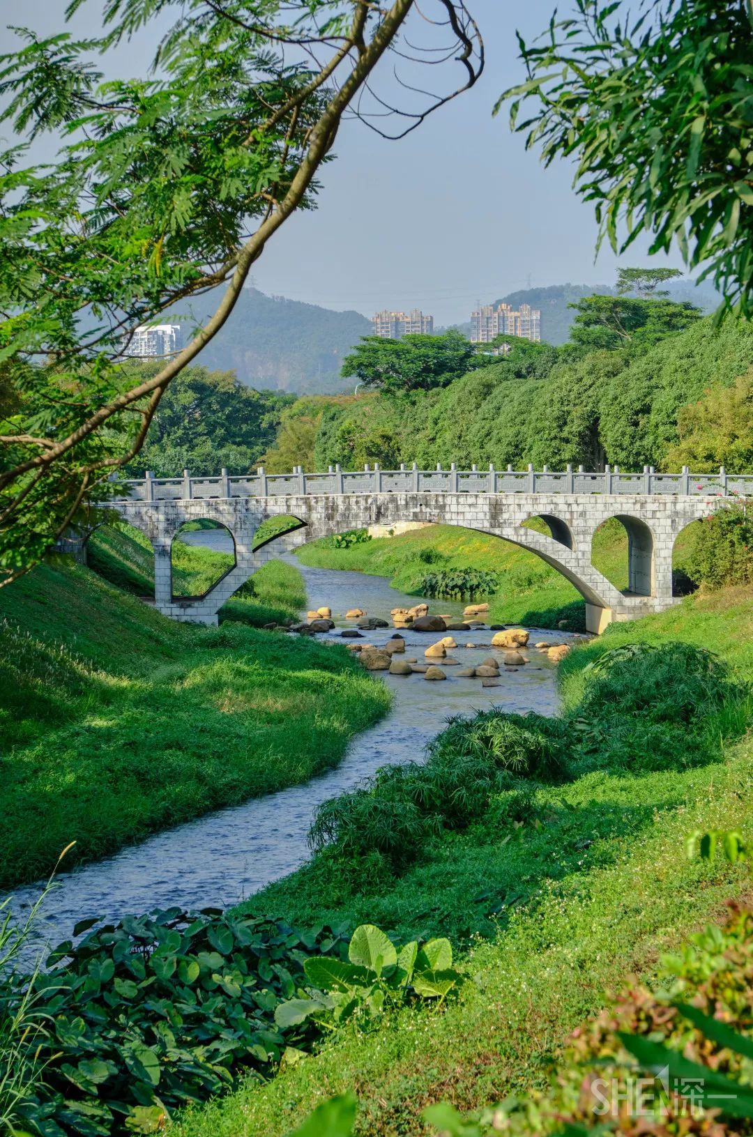 国内好看小众的湖泊,深圳好玩的湖泊有哪些