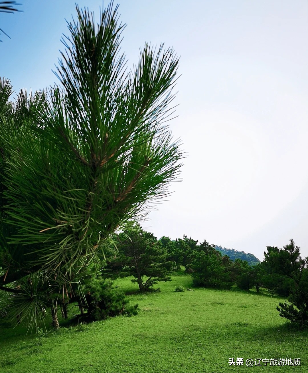 沈阳登山旅游哪里好,沈阳周边登山推荐