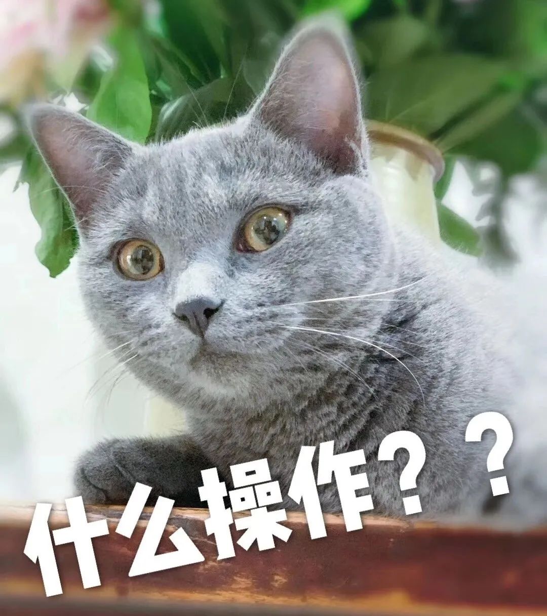 客服引导线下交易受保护吗,客服介入后卖家拒绝收货