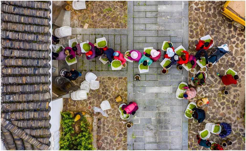 中国摄影艺术展获奖作品,北京国际摄影节获奖作品