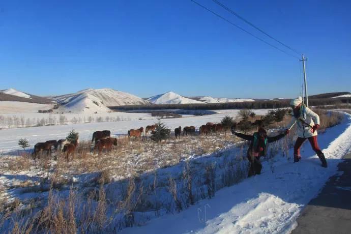 从南到北旅行,从南游到北