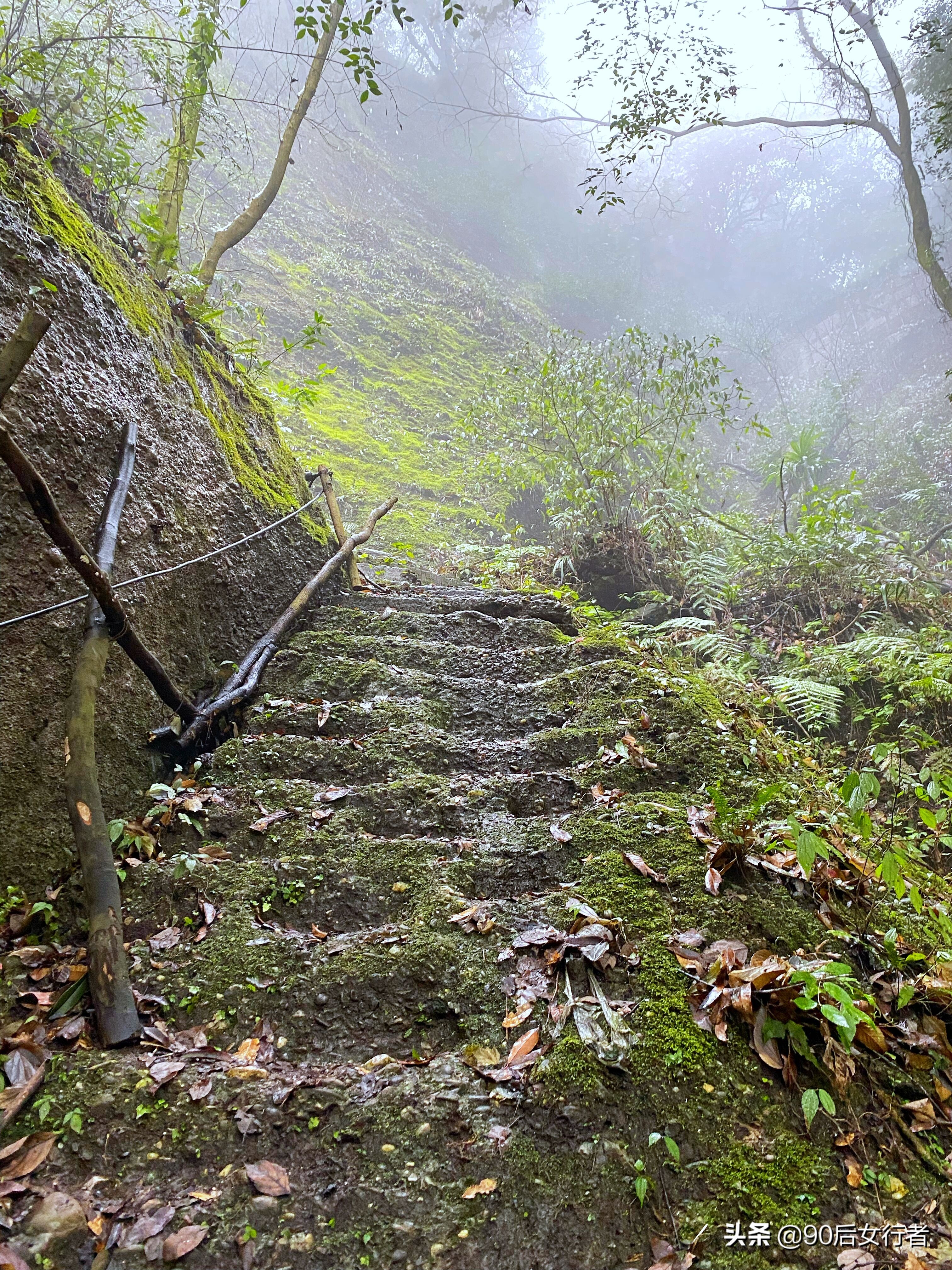 下雨天去拜访师傅合适吗,雨天去青城山