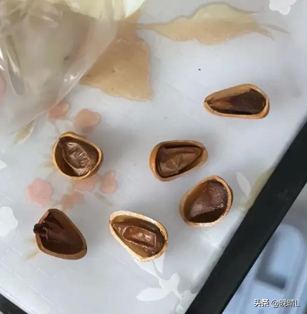 最新烟台大集情况,烟台大集最新消息