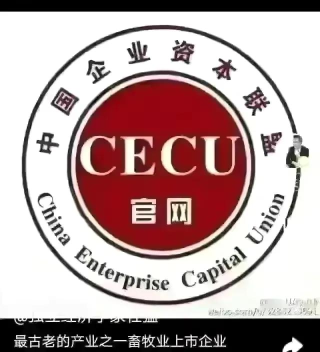 深圳金融街电讯杜猛,金融街电讯深度观察杜猛