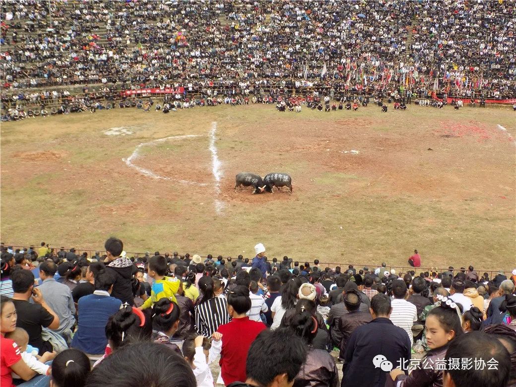 【第5期】微博月赛|3月我的家乡作品展示（一）