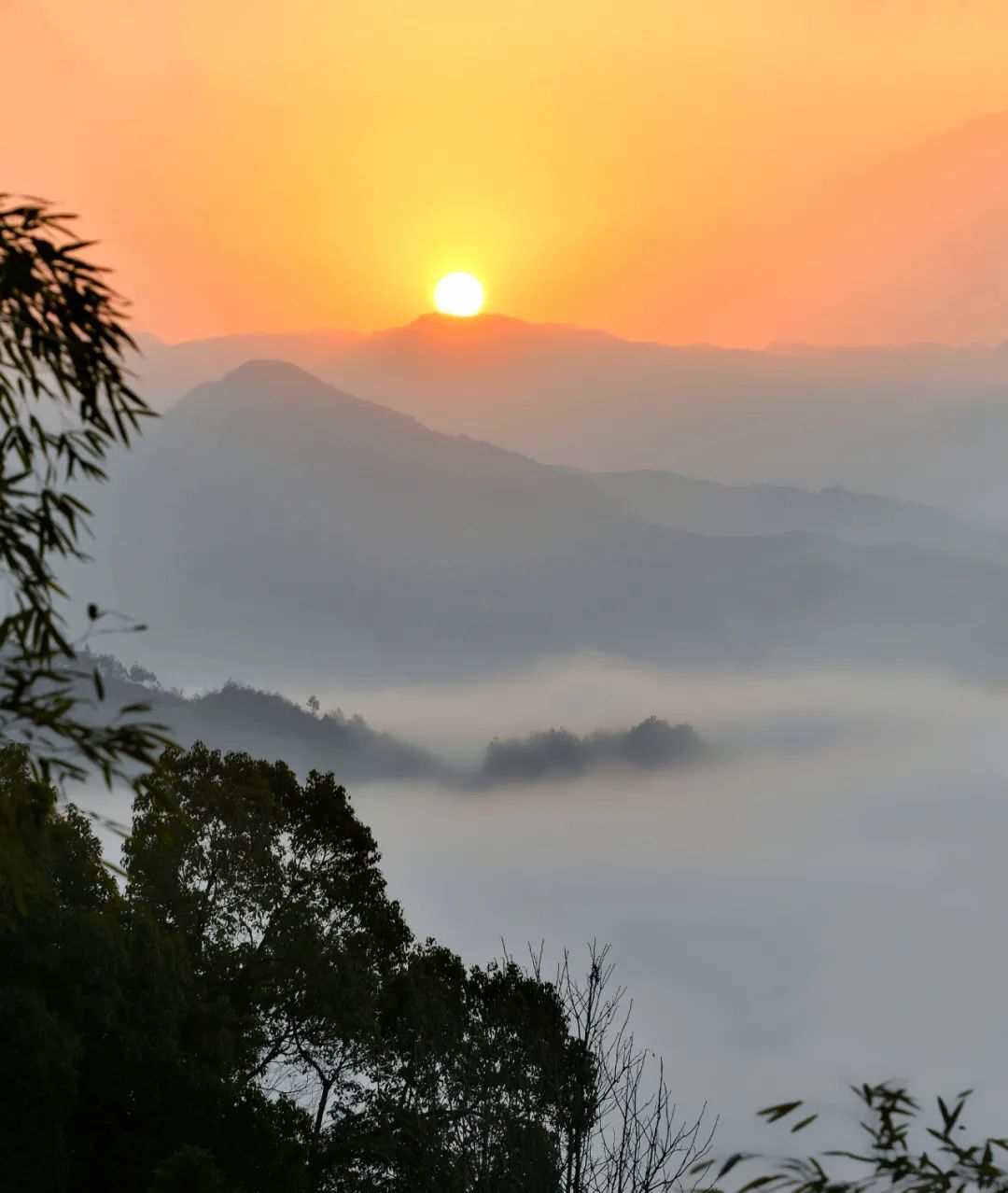 如何拍出美丽日出图片,日出怎么拍出高级感视频