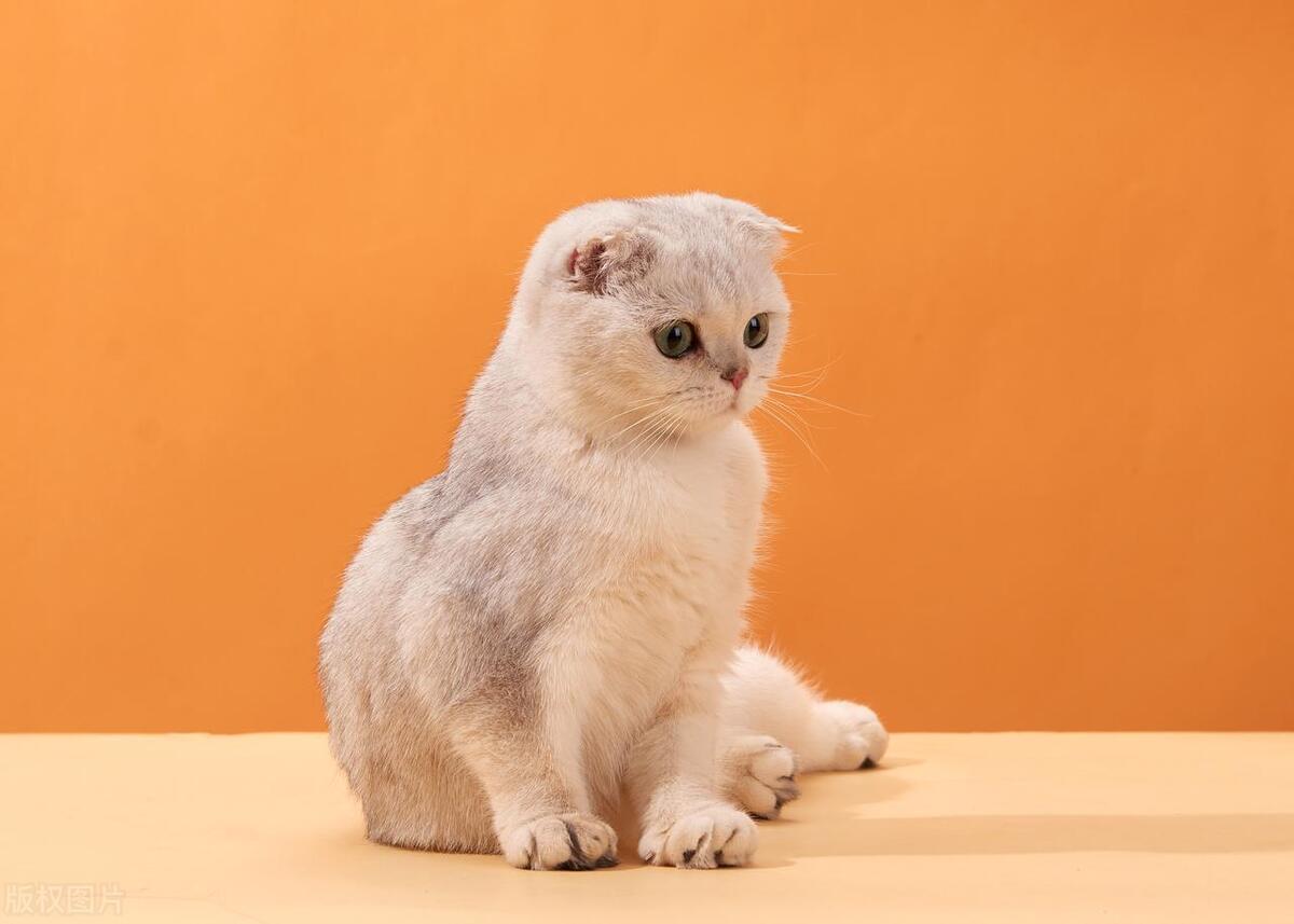 35岁的困局与破局讲的什么,对付35岁生活危机的最好方法