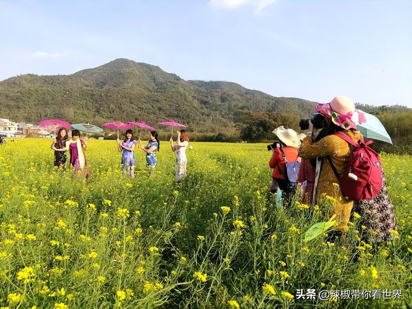 海岸线：邂逅*江阳**——感受这座慢节奏小城文化底蕴感悟人文之美