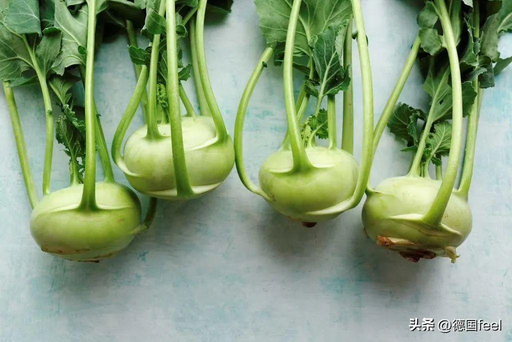 小知识超市,德国蔬菜有哪些