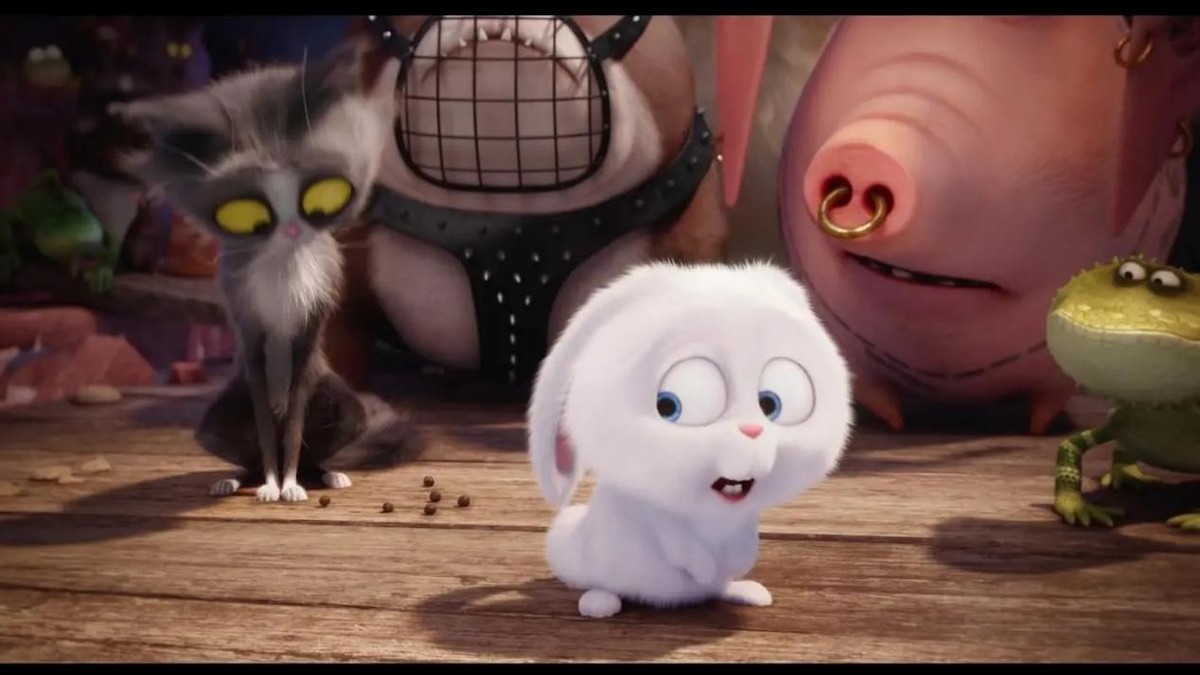 爱宠大机密这类电影推荐,welcometonewyork爱宠大机密