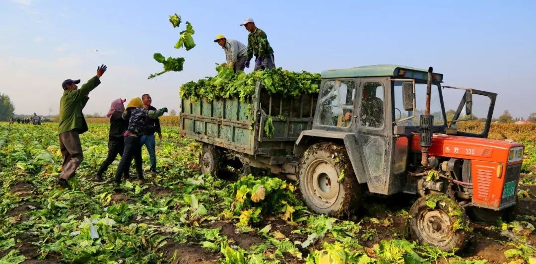阿城千年古城,千年古城为什么这么硬