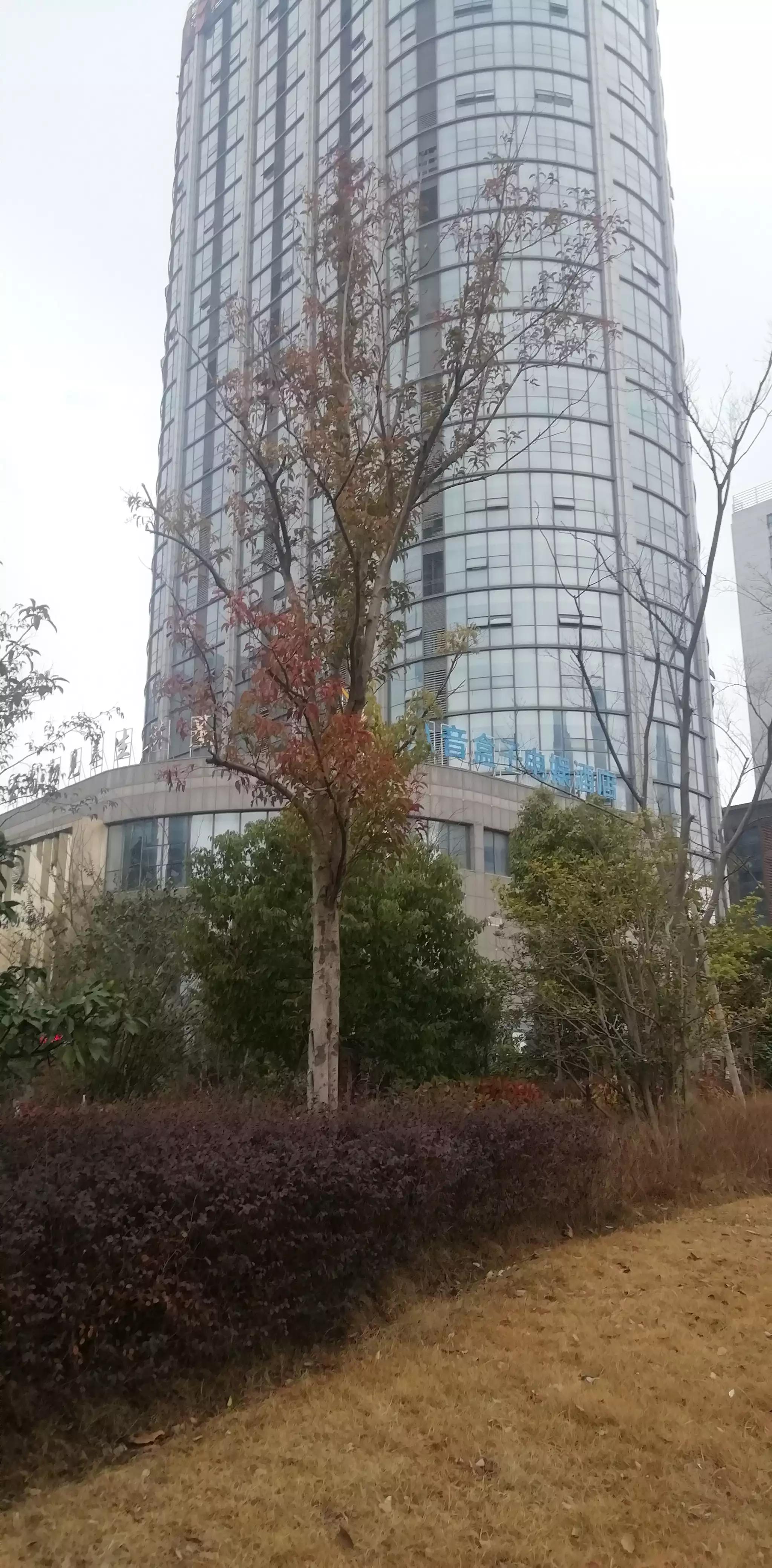 请投友们评论拍摄的怎么样？