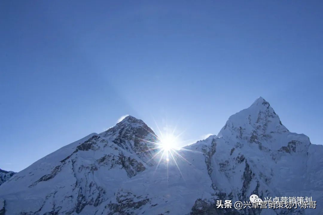 品牌定位方法和策略有哪些,什么是品牌定位如何确立品牌定位