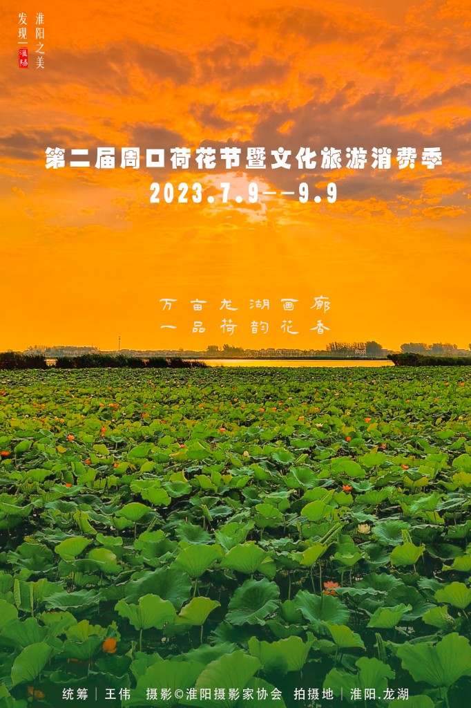 2021年周口淮阳荷花节,周口淮阳荷花节位置