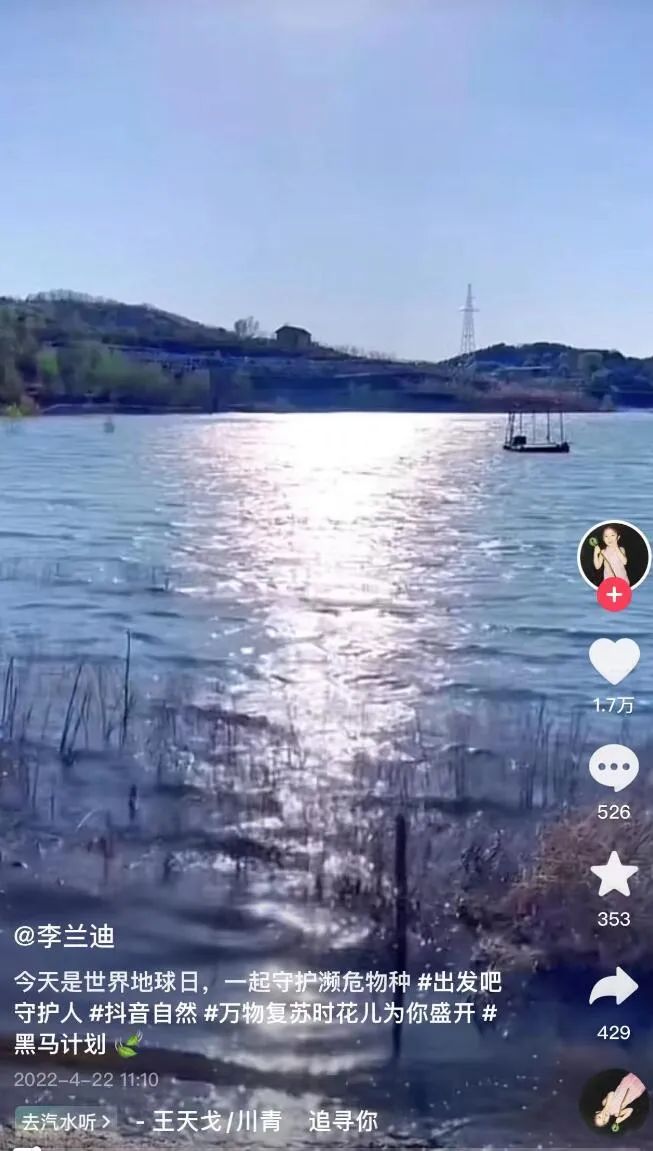 张新成李兰迪泰国正面照,李兰迪张新成泰国同游