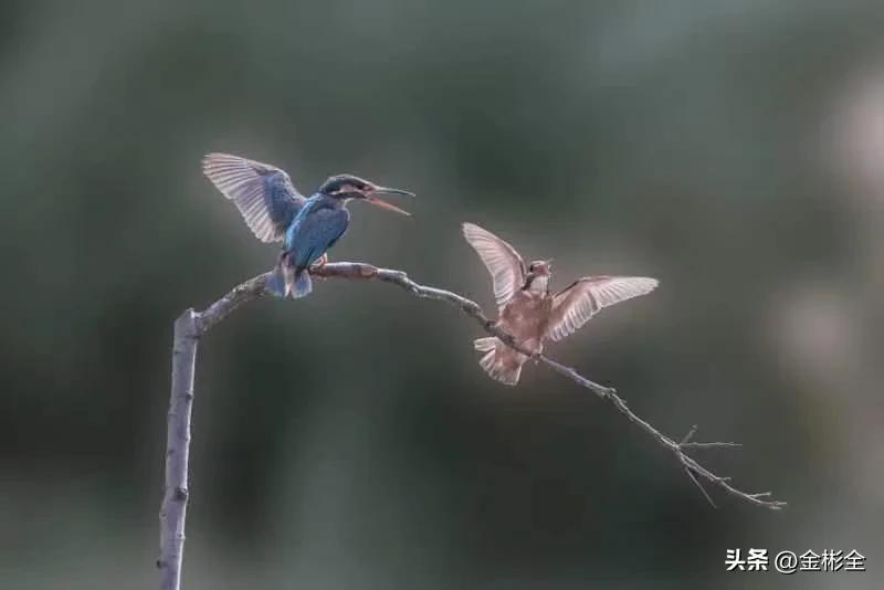 女朋友让交工资卡怎么回复,女朋友要求你上交工资是什么心理