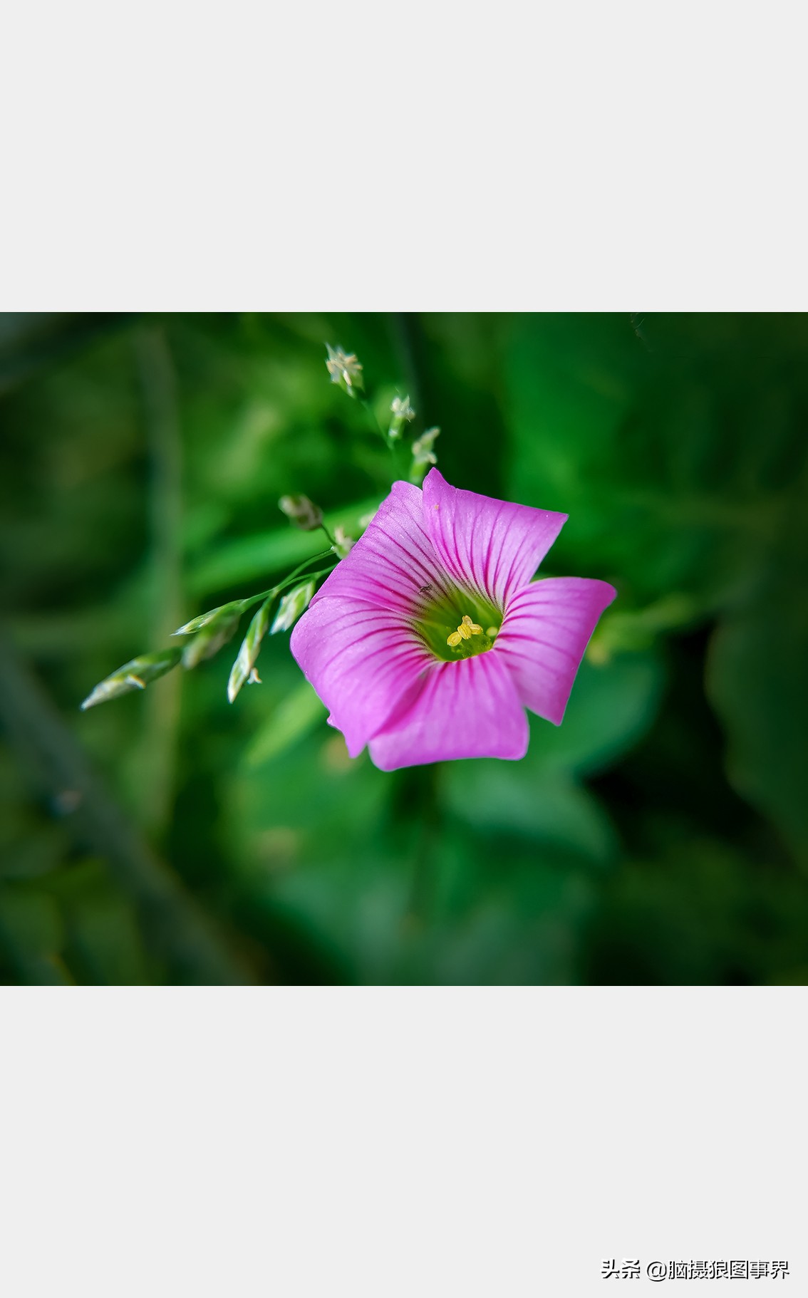 手机拍照不清晰怎么才能拍的好看,vivo手机拍照模糊怎样才能变清晰