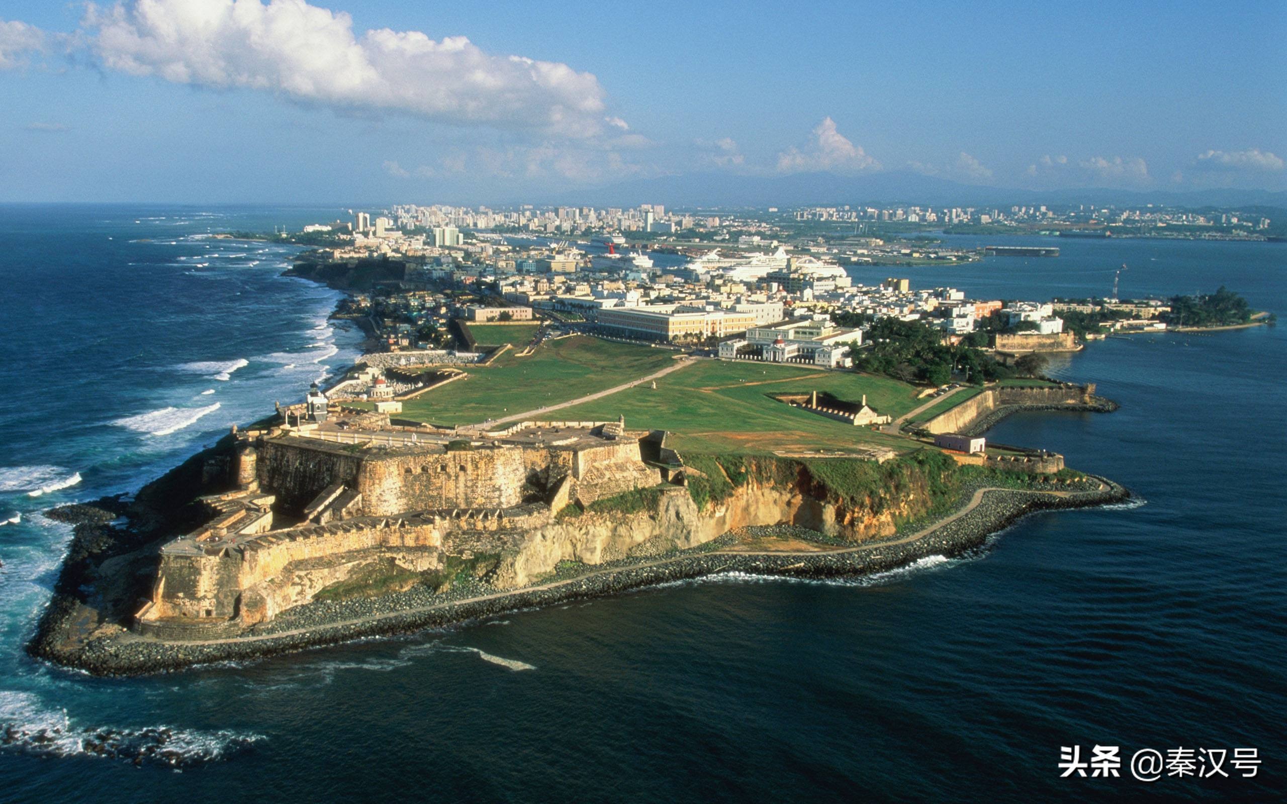 收下我的膝盖原谅我的伤害,波多黎各薅羊毛